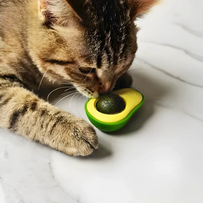 Bolinha Catnip Abacate Brinquedo P/ Gato Morder Roer